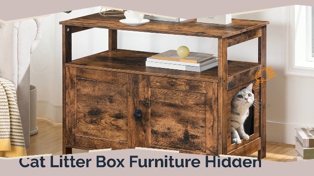 Amazon.com: HOOBRO 2 Tier Cat Litter Box Enclosure, 31.5